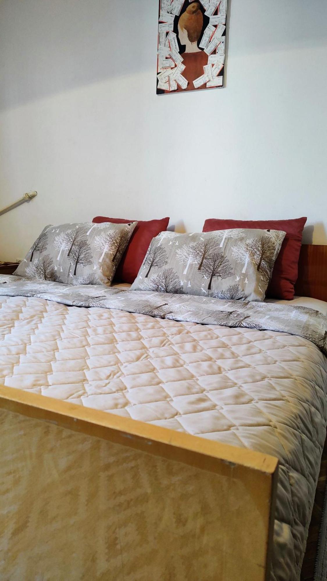 Digital Nomad Comfy Apartment,Foot Mountain Vodno And Millennium Cross,19 Min By Walk To Cener,Free Parking Skopje Zewnętrze zdjęcie